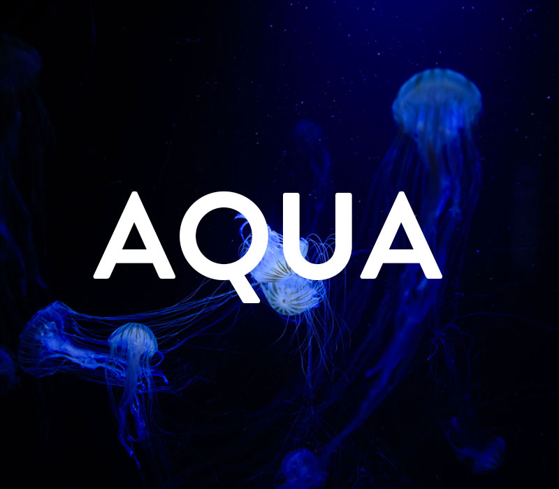 AQUA logo